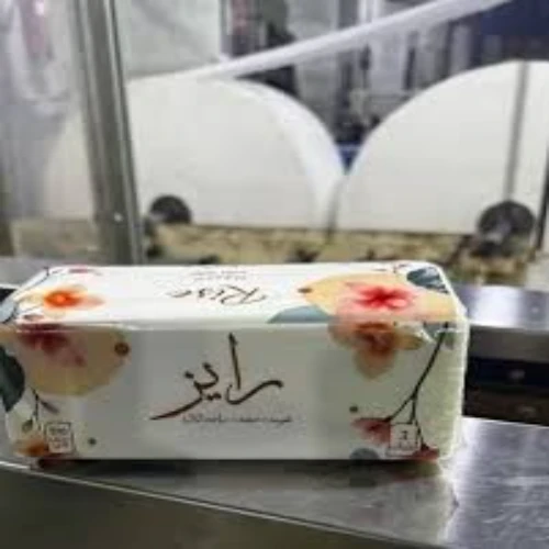 رايز 550